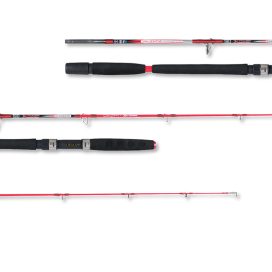 Alternative view of Kali Kunnan Valentia