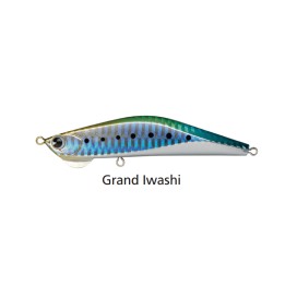 Alternative view of Ima Barbarossa 95