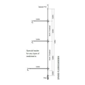 Alternative view of Kali Kunnan Sparid Fluorocarbon