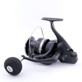 Alternative view of Tica Hyena