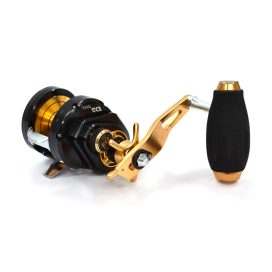 Alternative view of Tica Victor