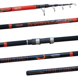 Alternative view of Falcon Hannibal Surf