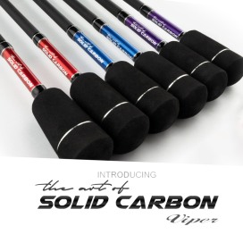 Alternative view of MGFA The Art of Solid Carbon Viper